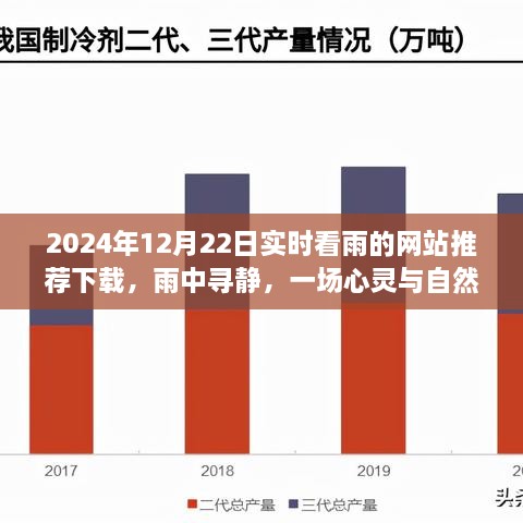 雨中寻静，心灵与自然共舞之旅——2024年实时观雨网站推荐下载