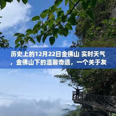 金佛山下的冬日奇遇，友情与陪伴的温馨故事，实时天气回顾