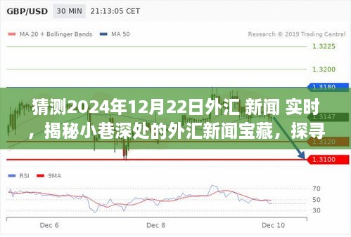 揭秘小巷深处的外汇新闻宝藏，探寻特色小店，感受独特氛围，实时报道2024年外汇动态展望（新闻实时更新）