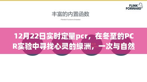 冬至心灵绿洲探寻，实时定量PCR实验与自然美景的交融之旅