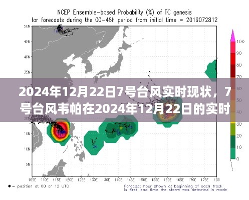 2024年12月22日台风韦帕实时现状及其影响分析