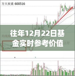 基金动态与股价走势下的自然美景探索，探寻内心平静之旅