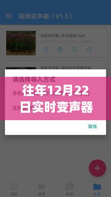 往年12月22日实时变声器软件直播专题，全面评测与介绍