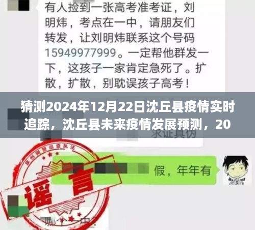 沈丘县疫情发展预测，2024年12月22日实时追踪及分析