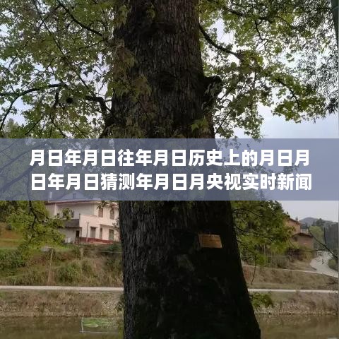 央视直播新闻服务评测，实时报道与互动体验详解，历史与最新动态追踪