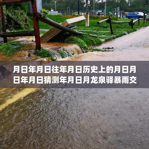 龙泉驿暴雨下的交通状况，历史与实时状况深度解析