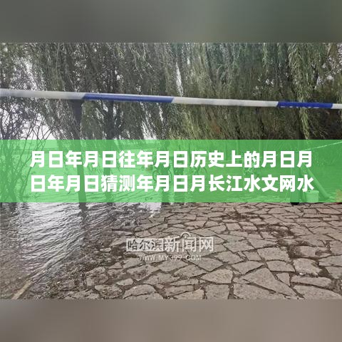 历史水位与实时长江水文网查询技能探索，水位实时查询与月日年月日的历史对比