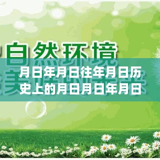 衡水高速封路情况实时查询与历史数据分析，预测与实时事件探讨