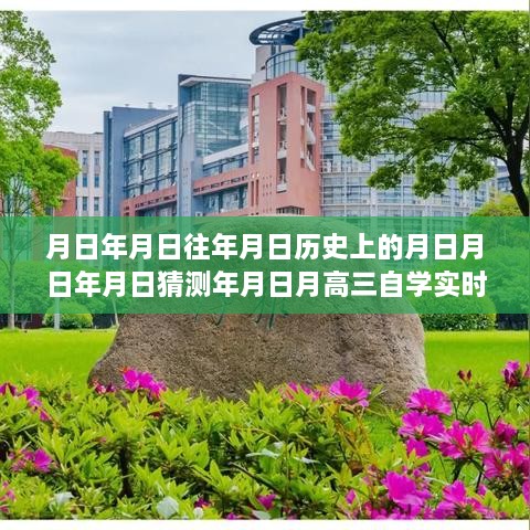 高三自学实时资料深度评测，历史与未来的月日月年探索