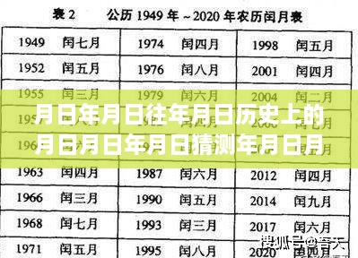 月日年月日实时位置分享指南，历史洞察与轻松掌握功能使用