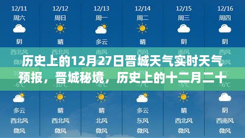 2024年12月28日 第11页