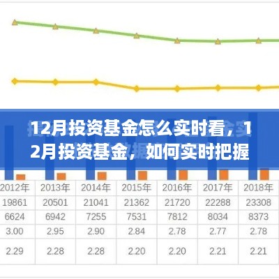 12月投资基金实时观察市场动态与策略调整指南