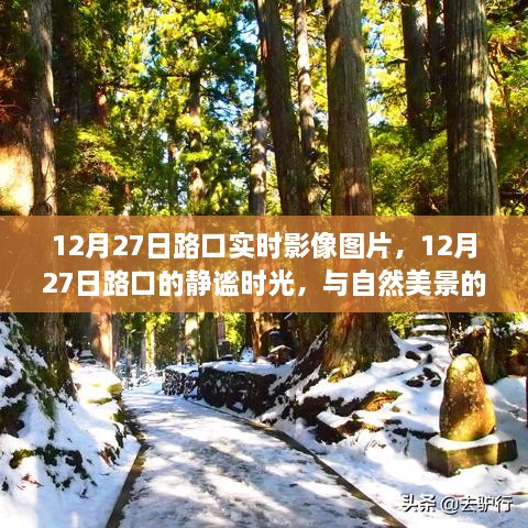 12月27日路口，静谧时光与美景的不解之缘实拍图片欣赏