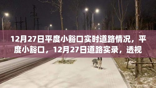 平度小豁口，12月27日道路实录，微观透视时代变迁之路