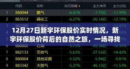 新宇环保股价背后的自然之旅，探寻股价动态与内心平静的奇妙旅程