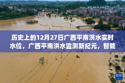 广西平南洪水实时水位监测，智能系统引领抗洪科技革新新纪元