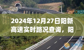 阳新高速实时路况查询系统评测与用户群体分析