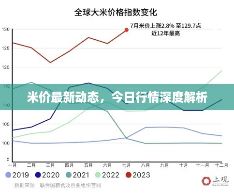 米价最新动态，今日行情深度解析