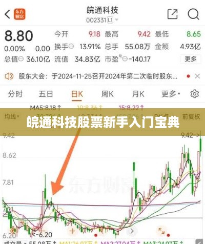 皖通科技股票新手入门宝典