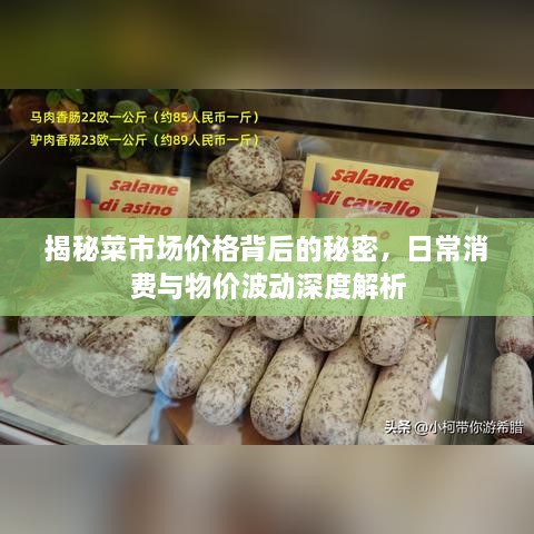 揭秘菜市场价格背后的秘密，日常消费与物价波动深度解析