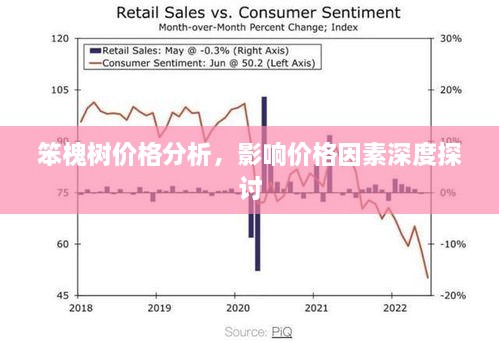 笨槐树价格分析，影响价格因素深度探讨