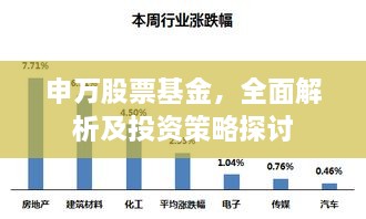 申万股票基金，全面解析及投资策略探讨