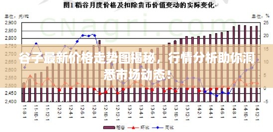 谷子最新价格走势图揭秘，行情分析助你洞悉市场动态！