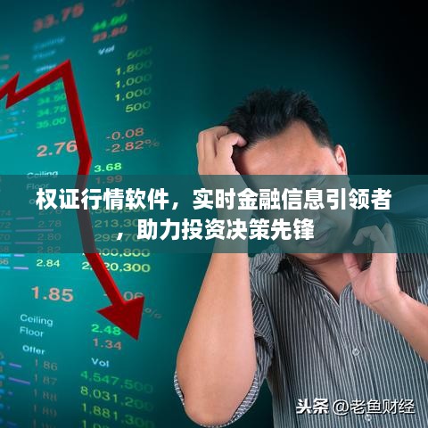 权证行情软件，实时金融信息引领者，助力投资决策先锋