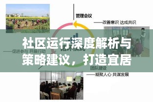 社区运行深度解析与策略建议，打造宜居活力社区新篇章