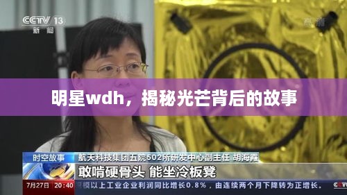 明星wdh，揭秘光芒背后的故事