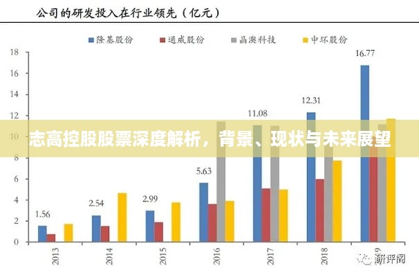 志高控股股票深度解析，背景、现状与未来展望