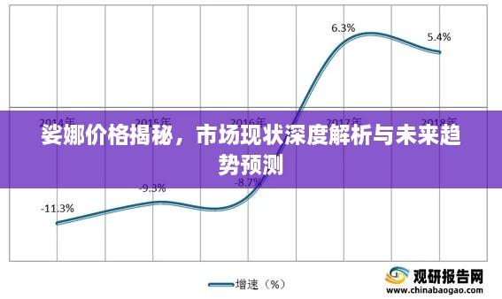 娑娜价格揭秘，市场现状深度解析与未来趋势预测