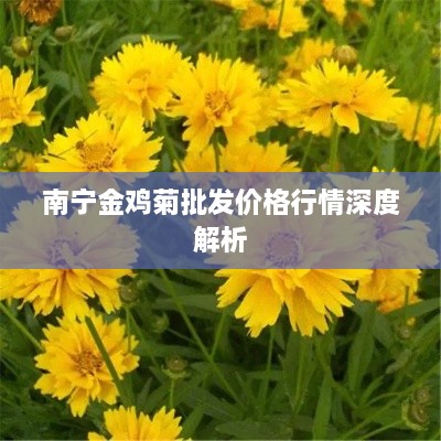 南宁金鸡菊批发价格行情深度解析