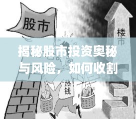 揭秘股市投资奥秘与风险，如何收割财富？