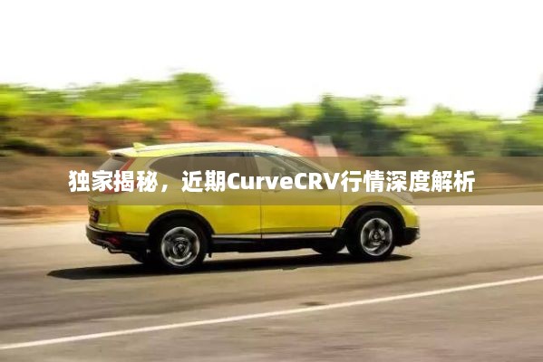 独家揭秘，近期CurveCRV行情深度解析