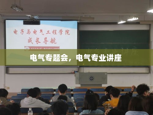 电气专题会，电气专业讲座 