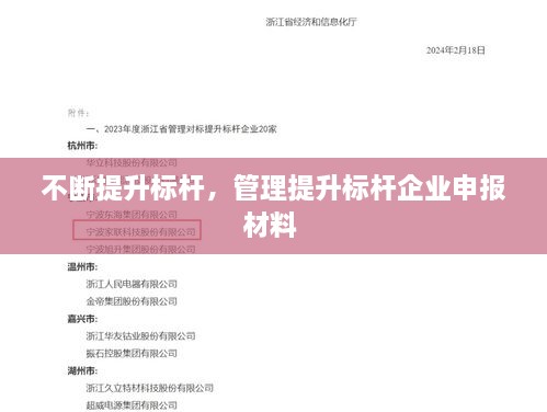 不断提升标杆，管理提升标杆企业申报材料 