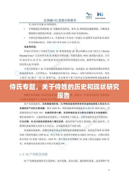 侍氏专题，关于侍姓的历史和现状研究报告 