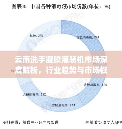 云南洗手凝胶灌装机市场深度解析，行业趋势与市场概况