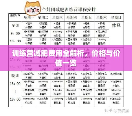 训练营减肥费用全解析，价格与价值一览