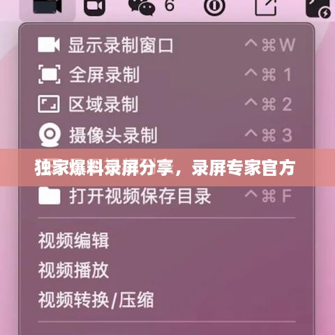 独家爆料录屏分享，录屏专家官方 