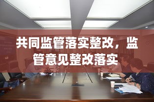 共同监管落实整改，监管意见整改落实 