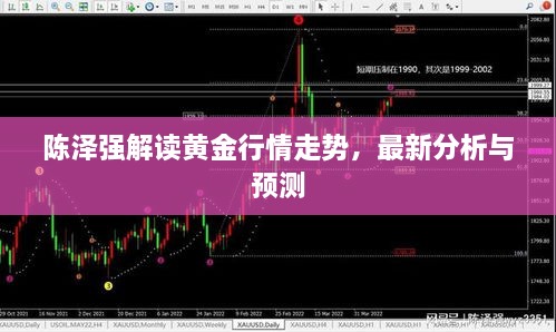 陈泽强解读黄金行情走势，最新分析与预测