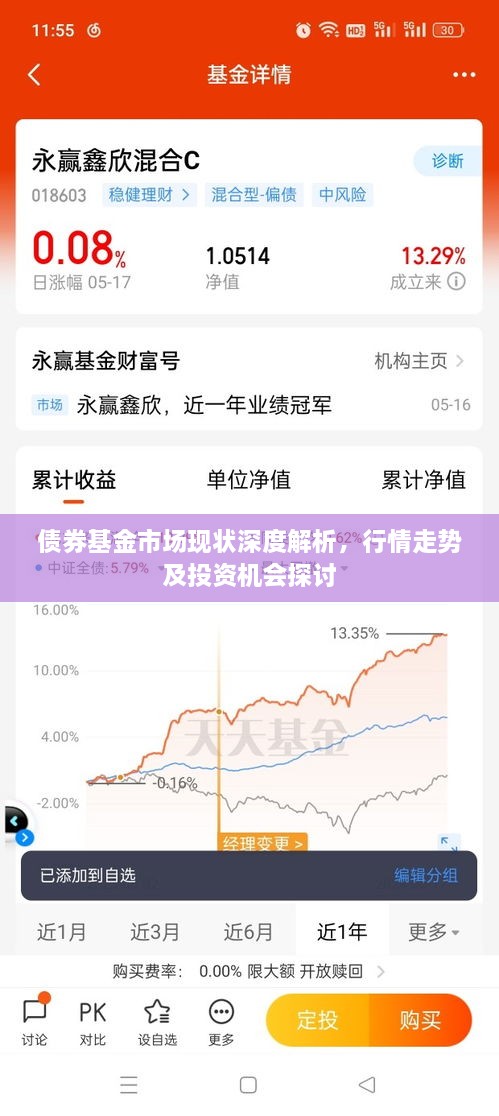 债券基金市场现状深度解析，行情走势及投资机会探讨