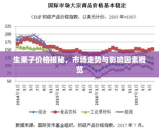 生栗子价格揭秘，市场走势与影响因素概览