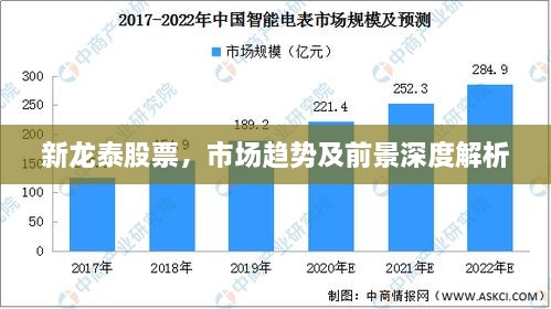 新龙泰股票，市场趋势及前景深度解析