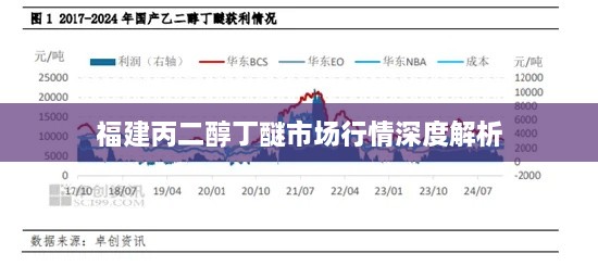 福建丙二醇丁醚市场行情深度解析