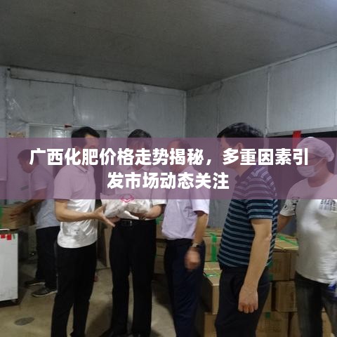 广西化肥价格走势揭秘，多重因素引发市场动态关注