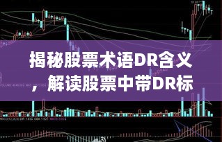 揭秘股票术语DR含义，解读股票中带DR标志的含义