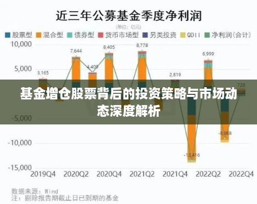 基金增仓股票背后的投资策略与市场动态深度解析